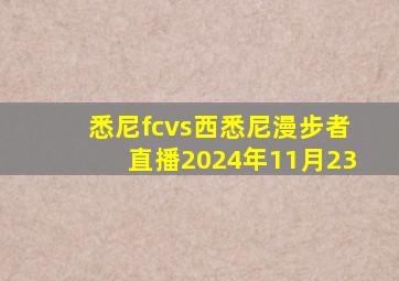 悉尼fcvs西悉尼漫步者直播2024年11月23