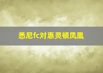 悉尼fc对惠灵顿凤凰