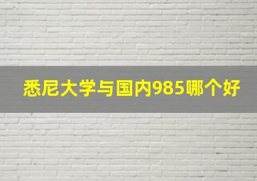 悉尼大学与国内985哪个好