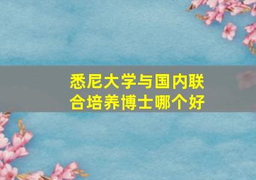 悉尼大学与国内联合培养博士哪个好