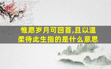 惟愿岁月可回首,且以温柔待此生指的是什么意思