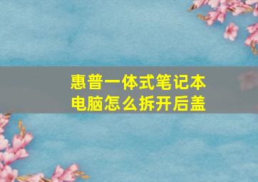 惠普一体式笔记本电脑怎么拆开后盖