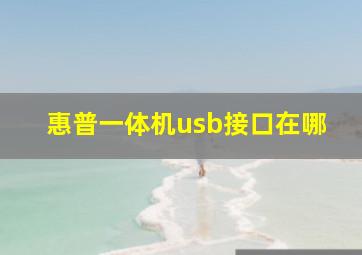 惠普一体机usb接口在哪