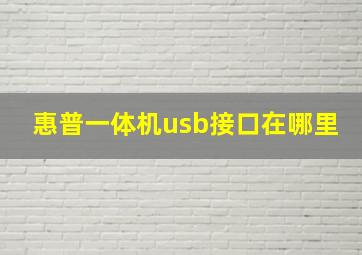 惠普一体机usb接口在哪里