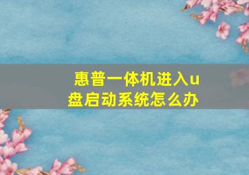 惠普一体机进入u盘启动系统怎么办