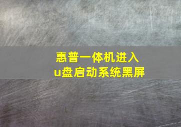 惠普一体机进入u盘启动系统黑屏