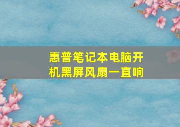 惠普笔记本电脑开机黑屏风扇一直响