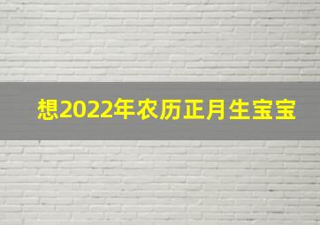 想2022年农历正月生宝宝