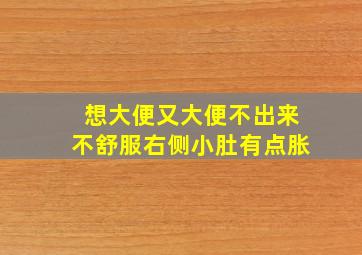 想大便又大便不出来不舒服右侧小肚有点胀