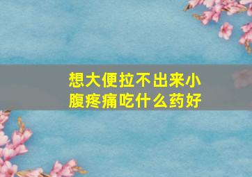 想大便拉不出来小腹疼痛吃什么药好