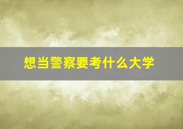 想当警察要考什么大学