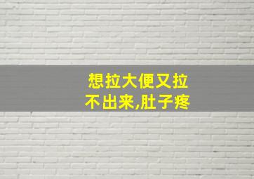 想拉大便又拉不出来,肚子疼