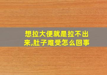 想拉大便就是拉不出来,肚子难受怎么回事