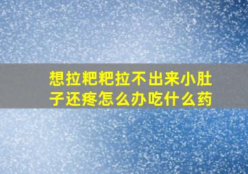 想拉粑粑拉不出来小肚子还疼怎么办吃什么药