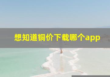 想知道铜价下载哪个app