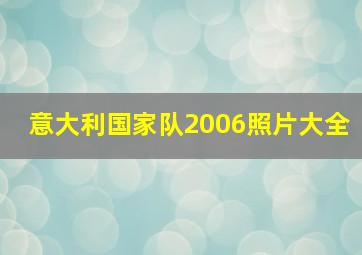 意大利国家队2006照片大全