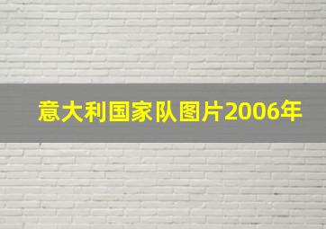 意大利国家队图片2006年