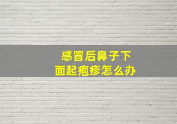 感冒后鼻子下面起疱疹怎么办