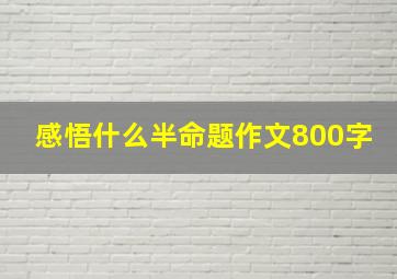 感悟什么半命题作文800字