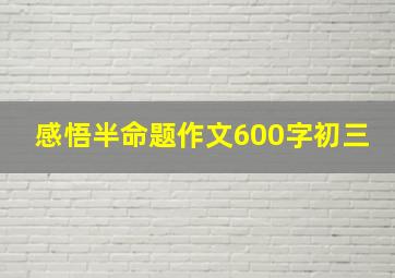 感悟半命题作文600字初三