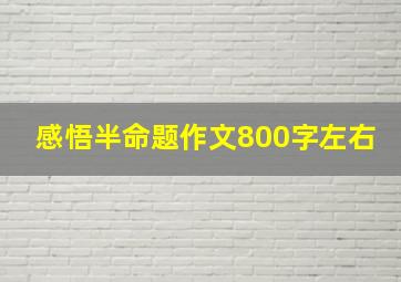 感悟半命题作文800字左右