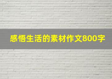 感悟生活的素材作文800字