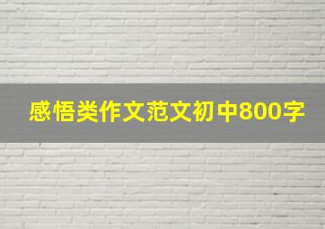 感悟类作文范文初中800字