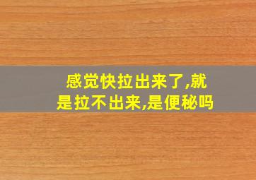 感觉快拉出来了,就是拉不出来,是便秘吗