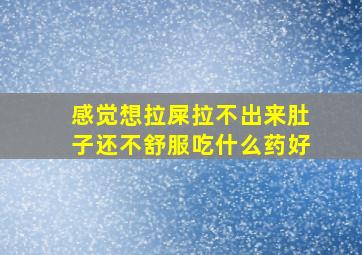 感觉想拉屎拉不出来肚子还不舒服吃什么药好