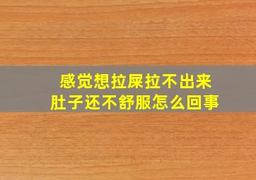 感觉想拉屎拉不出来肚子还不舒服怎么回事