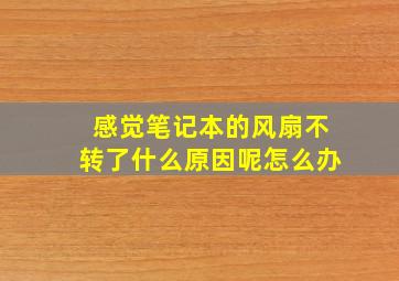 感觉笔记本的风扇不转了什么原因呢怎么办