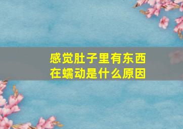 感觉肚子里有东西在蠕动是什么原因