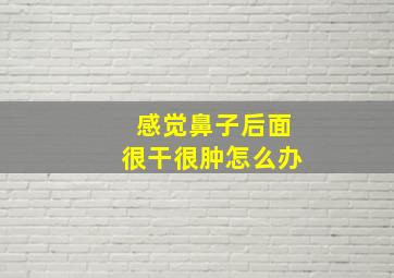 感觉鼻子后面很干很肿怎么办