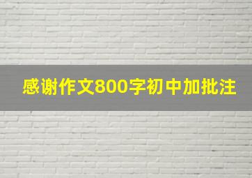 感谢作文800字初中加批注