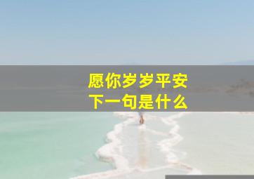 愿你岁岁平安下一句是什么