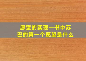 愿望的实现一书中苏巴的第一个愿望是什么