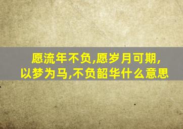 愿流年不负,愿岁月可期,以梦为马,不负韶华什么意思