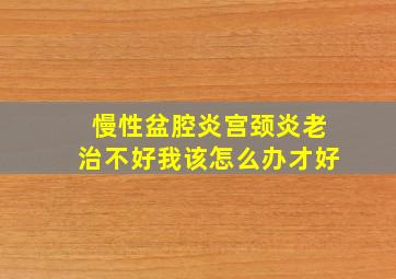 慢性盆腔炎宫颈炎老治不好我该怎么办才好