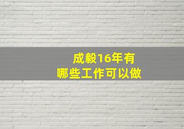 成毅16年有哪些工作可以做