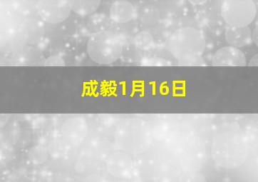 成毅1月16日