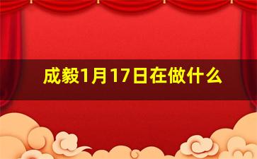 成毅1月17日在做什么