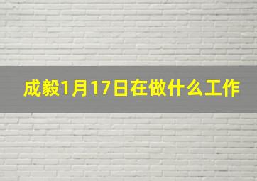 成毅1月17日在做什么工作