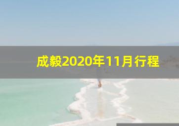 成毅2020年11月行程