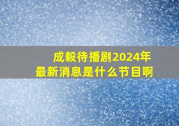 成毅待播剧2024年最新消息是什么节目啊