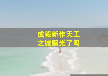 成毅新作天工之城曝光了吗