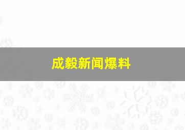 成毅新闻爆料