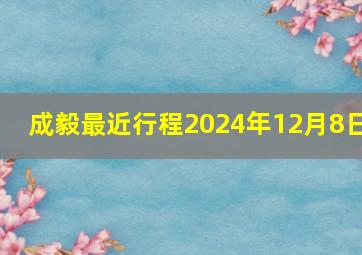 成毅最近行程2024年12月8日