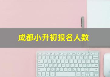 成都小升初报名人数