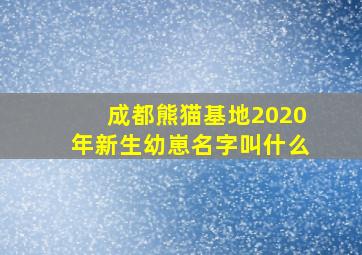 成都熊猫基地2020年新生幼崽名字叫什么