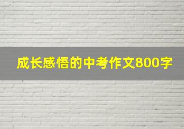 成长感悟的中考作文800字